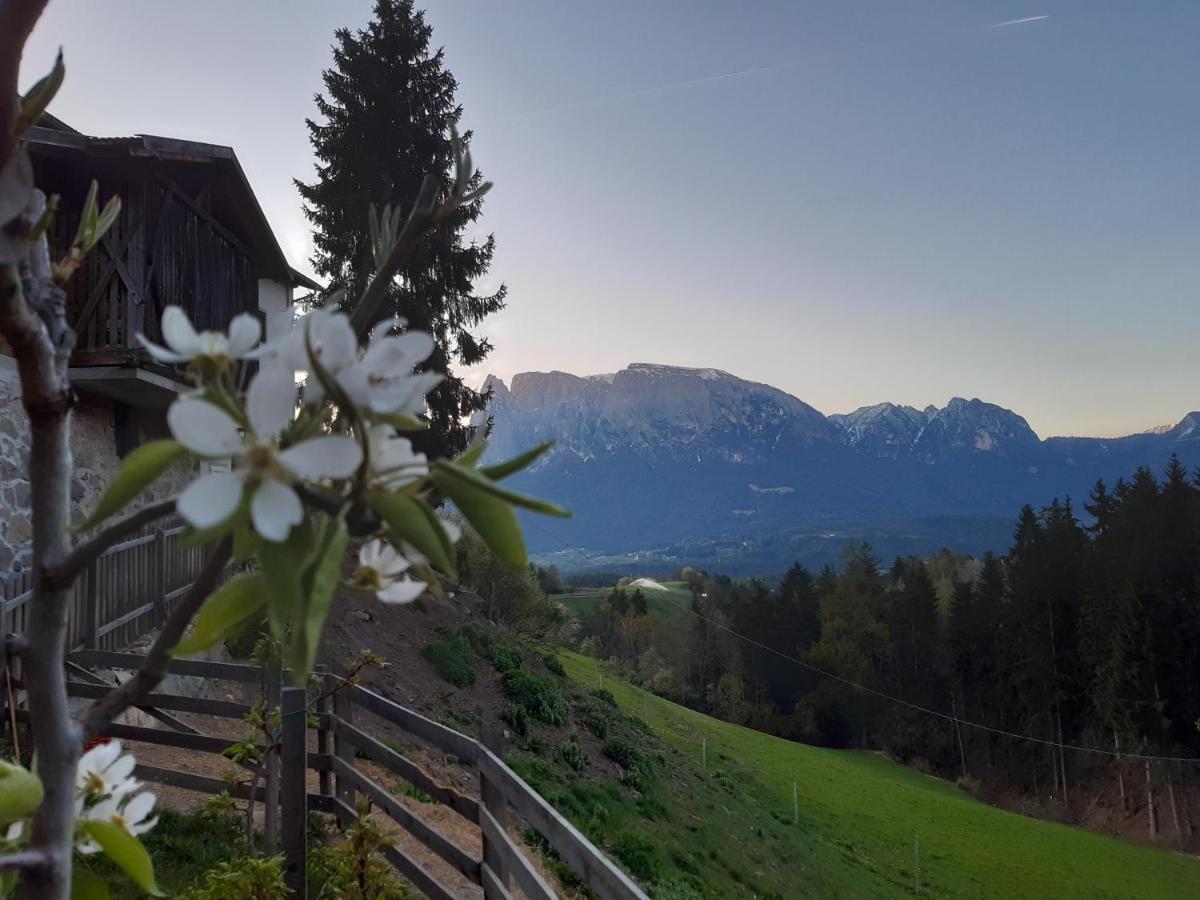 Koebl Hof Longostagno Dış mekan fotoğraf